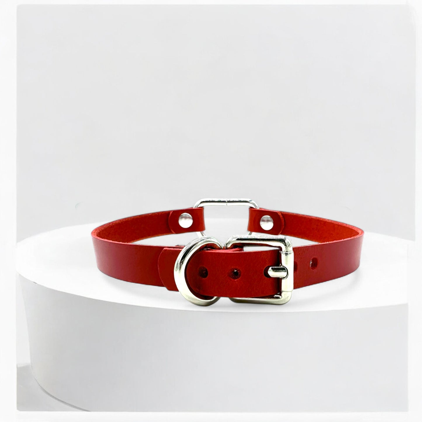 Red D-Ring Leather Choker