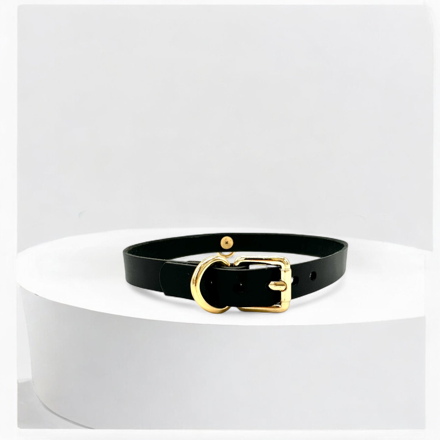 Black leather middle O-Link choker with gold buckle strap