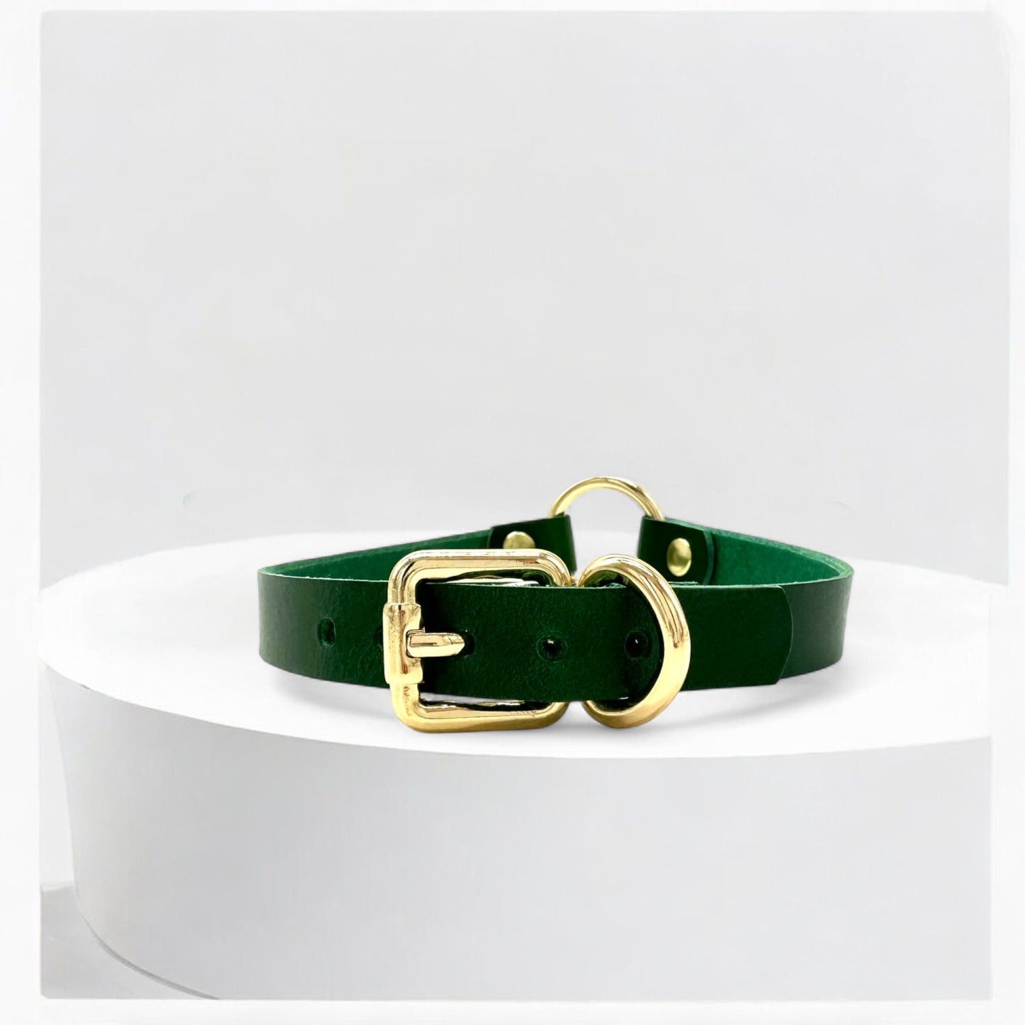 Flatlay green O-Ring leather choker with gold hardware