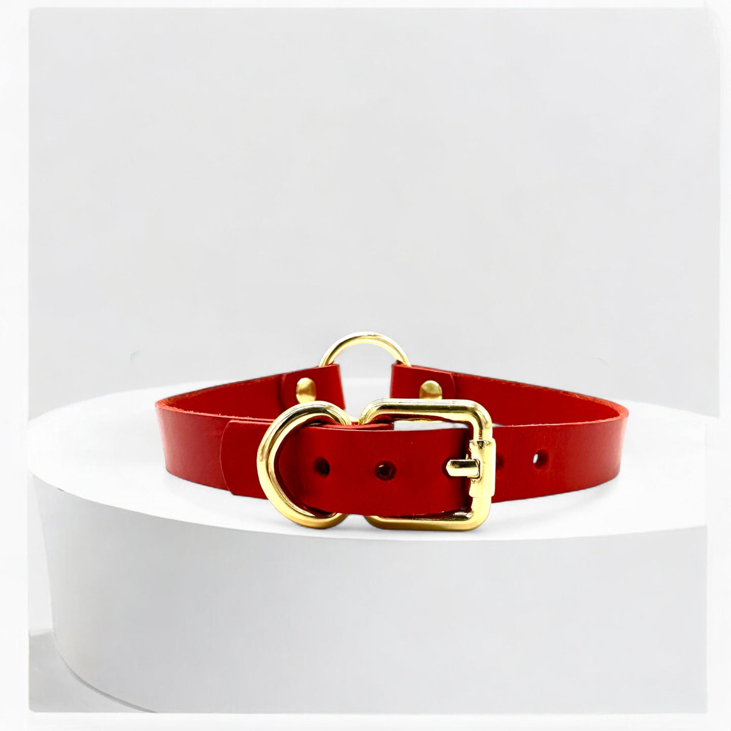 Flatlay red O-Ring leather choker with gold hardware