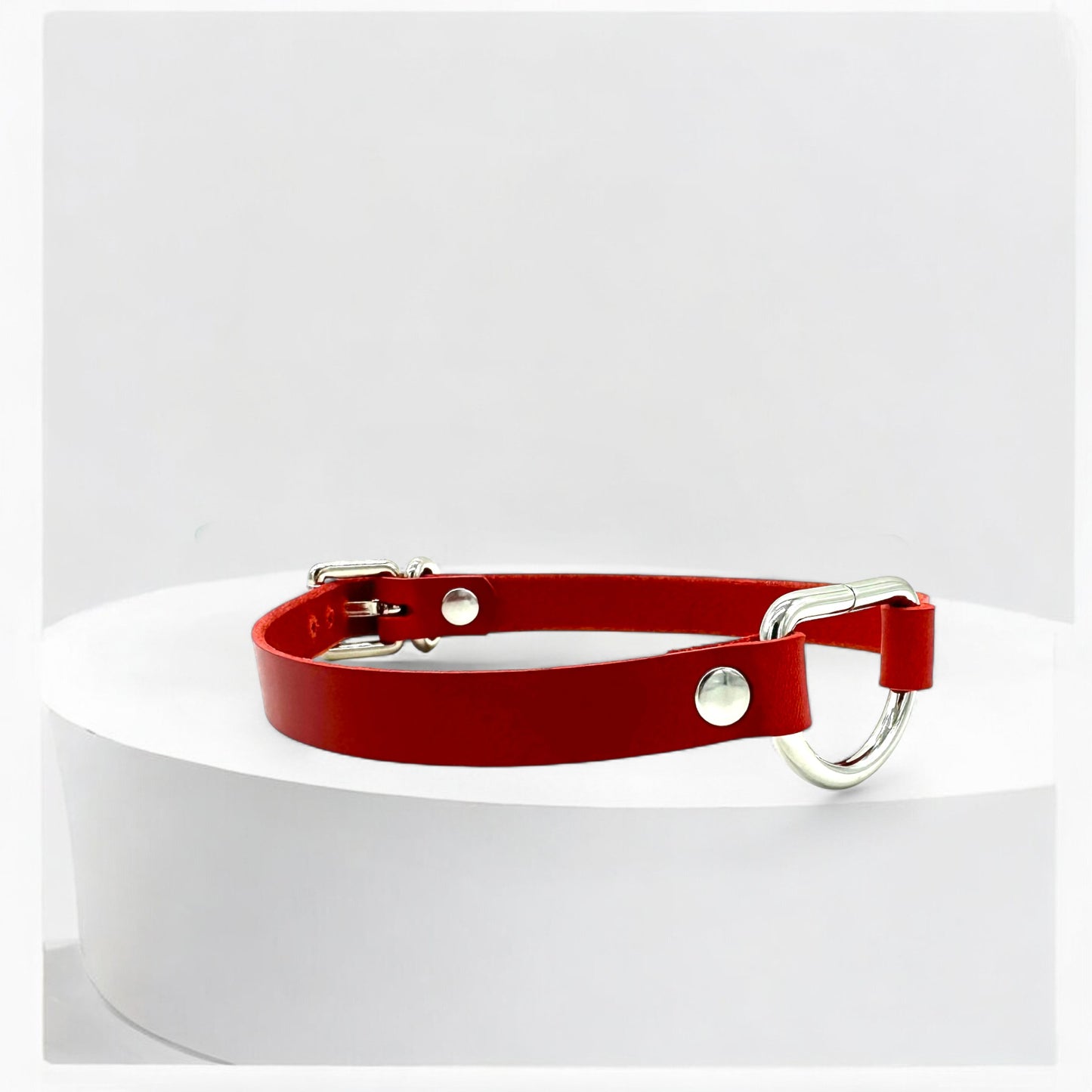 Red D-Ring Leather Choker