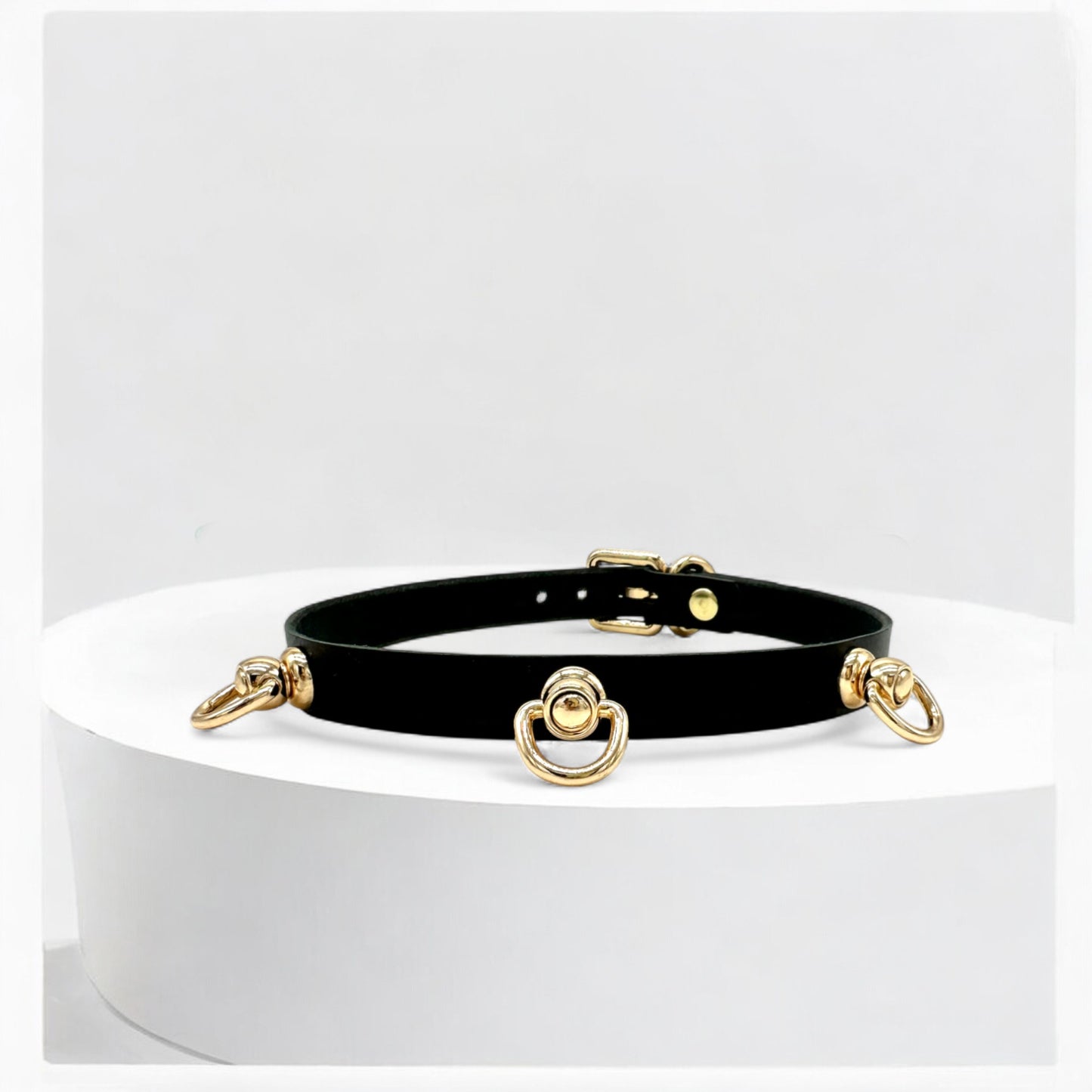 Close-up of front-facing black choker with three gold O-rings

