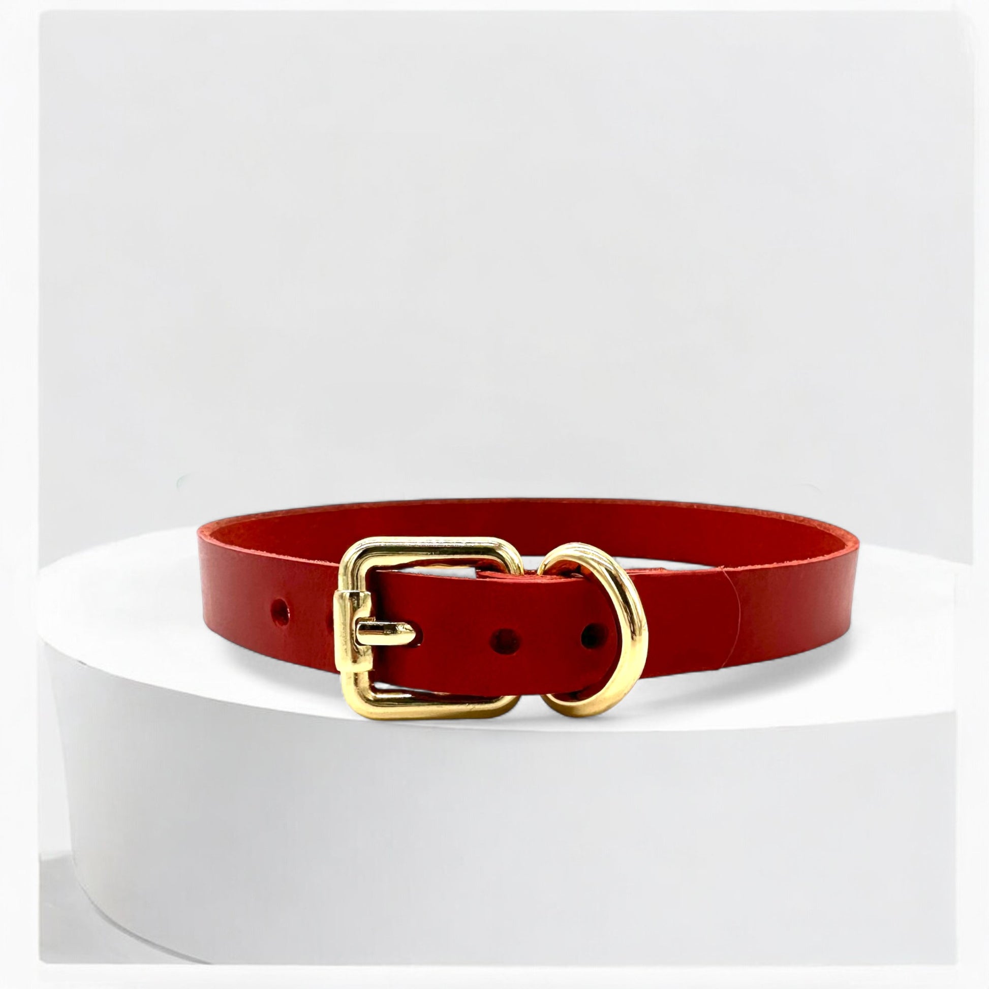 Flatlay red classic buckle leather choker with gold hardware