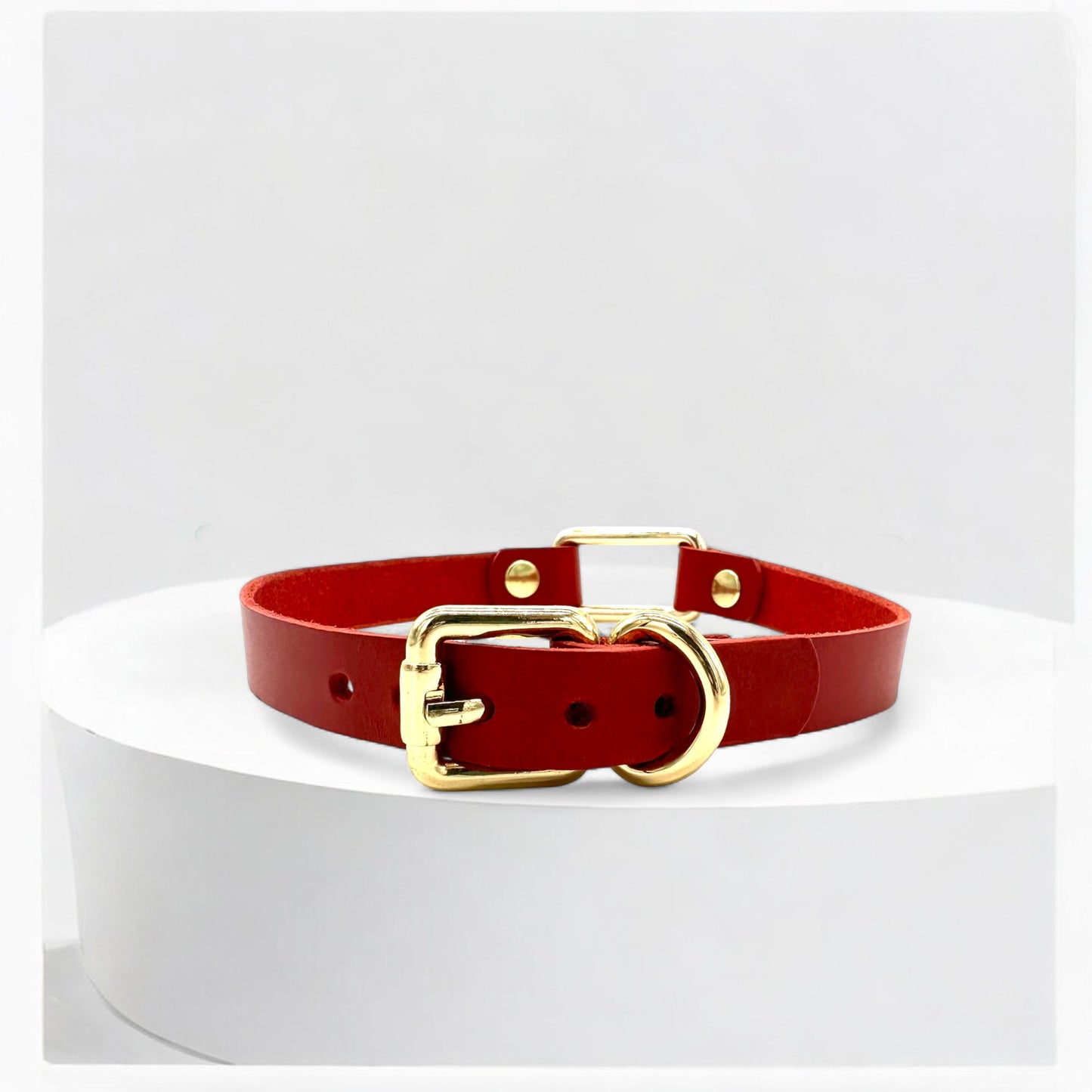 Flatlay red rectangle-link choker with gold hardware