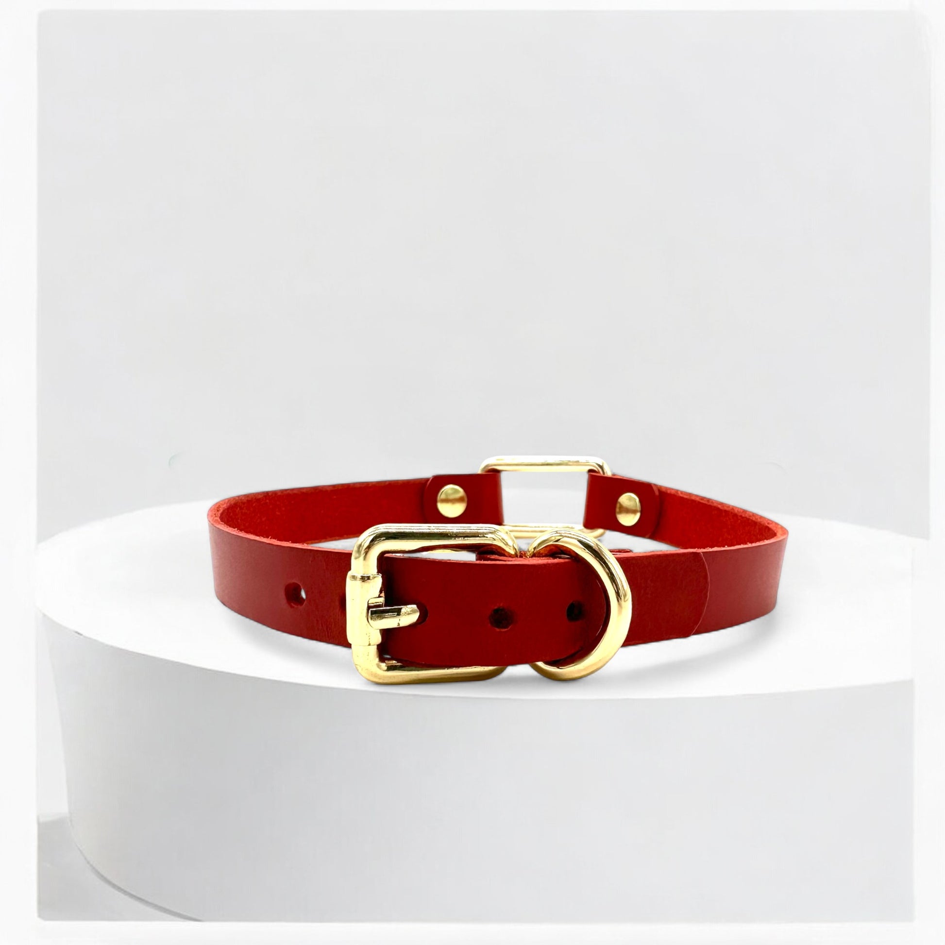 Flatlay red rectangle-link choker with gold hardware