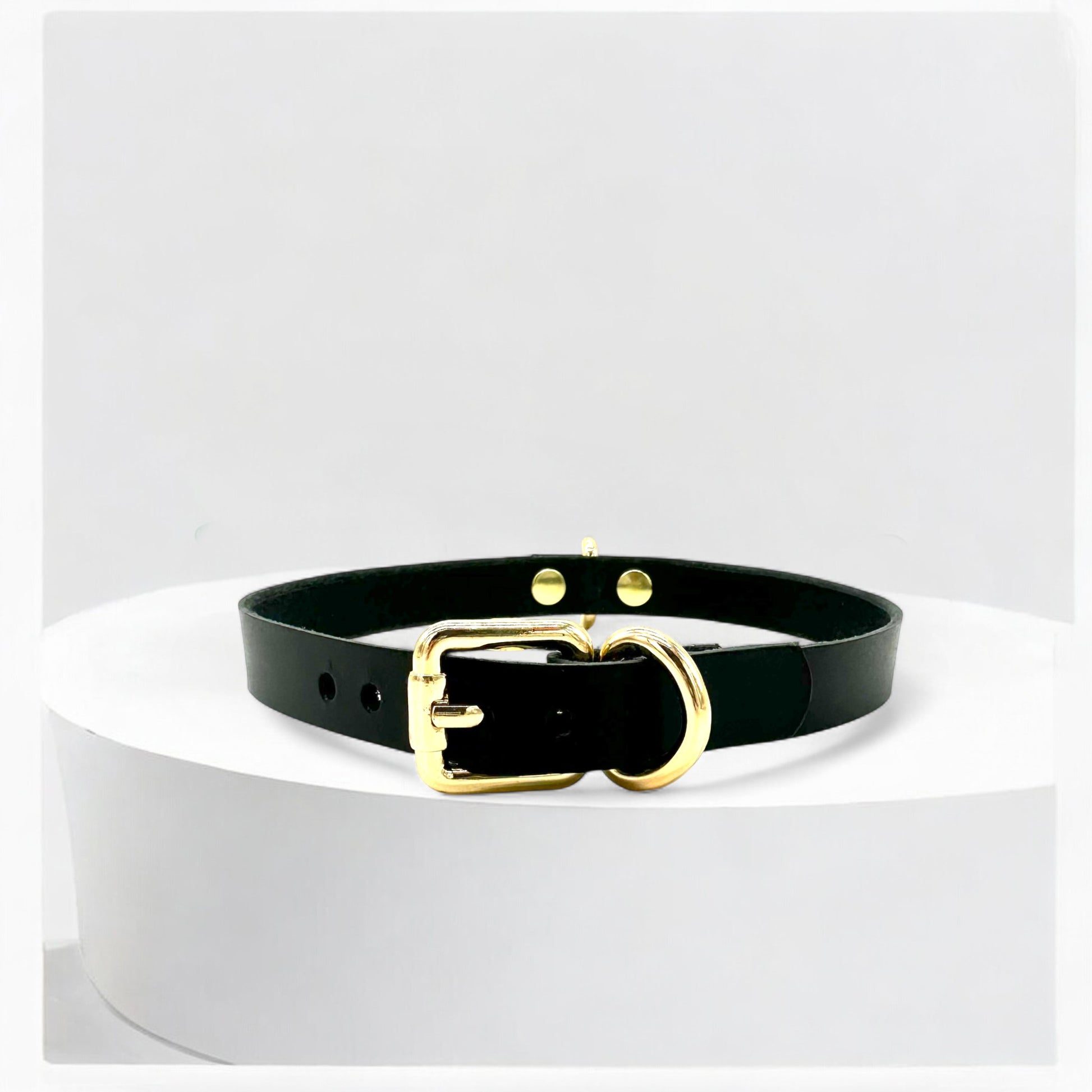 Model wearing black Mini D-Ring Leather Choker with silver detail 