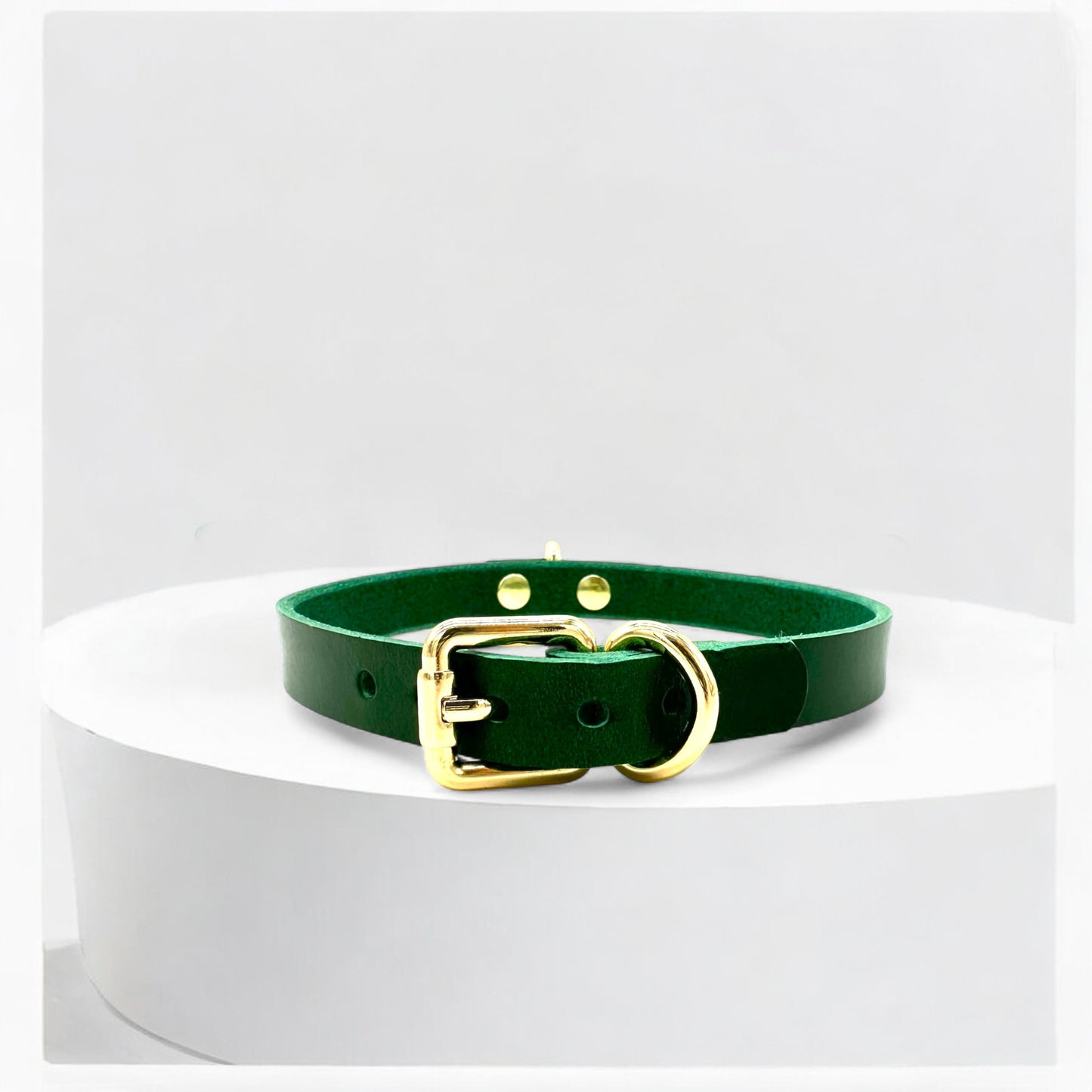 Model wearing green Mini D-Ring Leather Choker, silver hardware finish