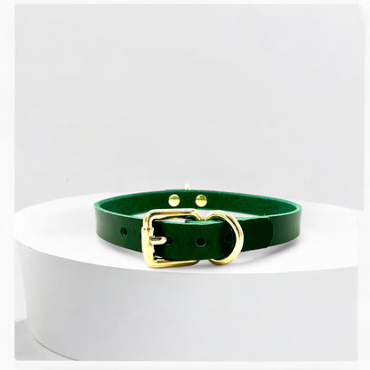 Model wearing green Mini D-Ring Leather Choker, silver hardware finish