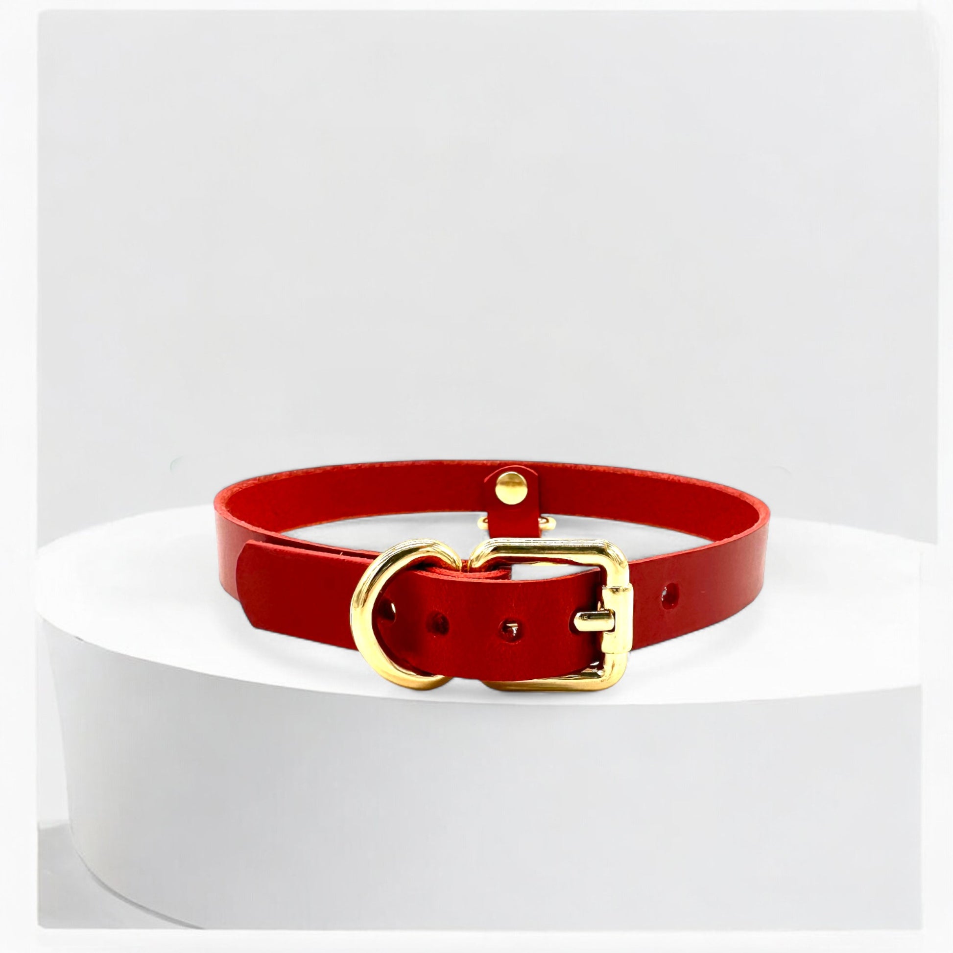Model wearing red Italian leather Drop Mini D-Ring Choker, silver finish