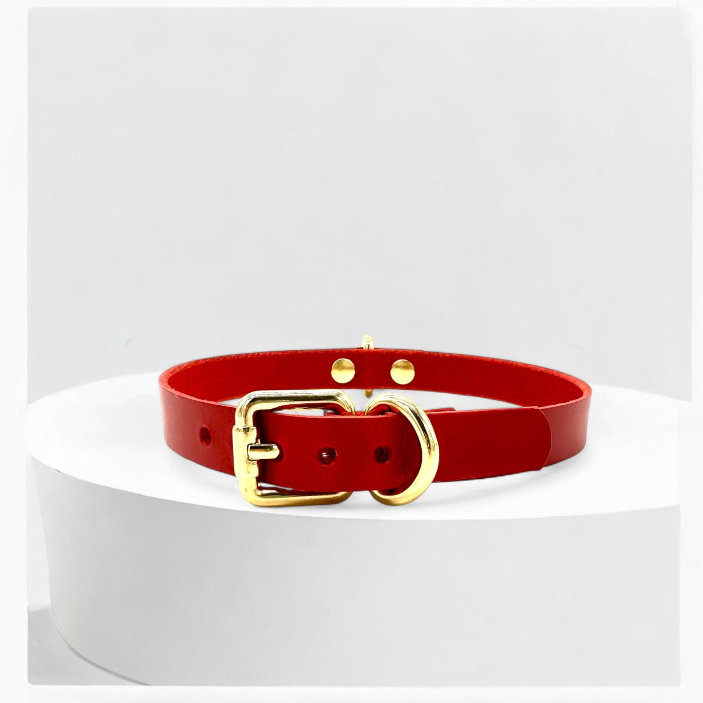 Model wearing red Mini D-Ring Leather Choker, gold hardware finish
